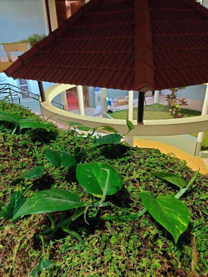 Nisarga Resort Kaglipur Extérieur photo